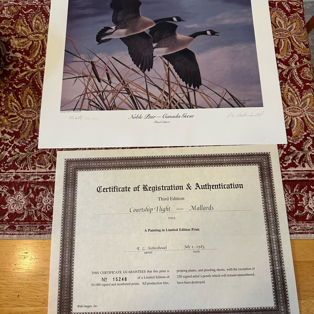 Courtship Flight Mallards Print